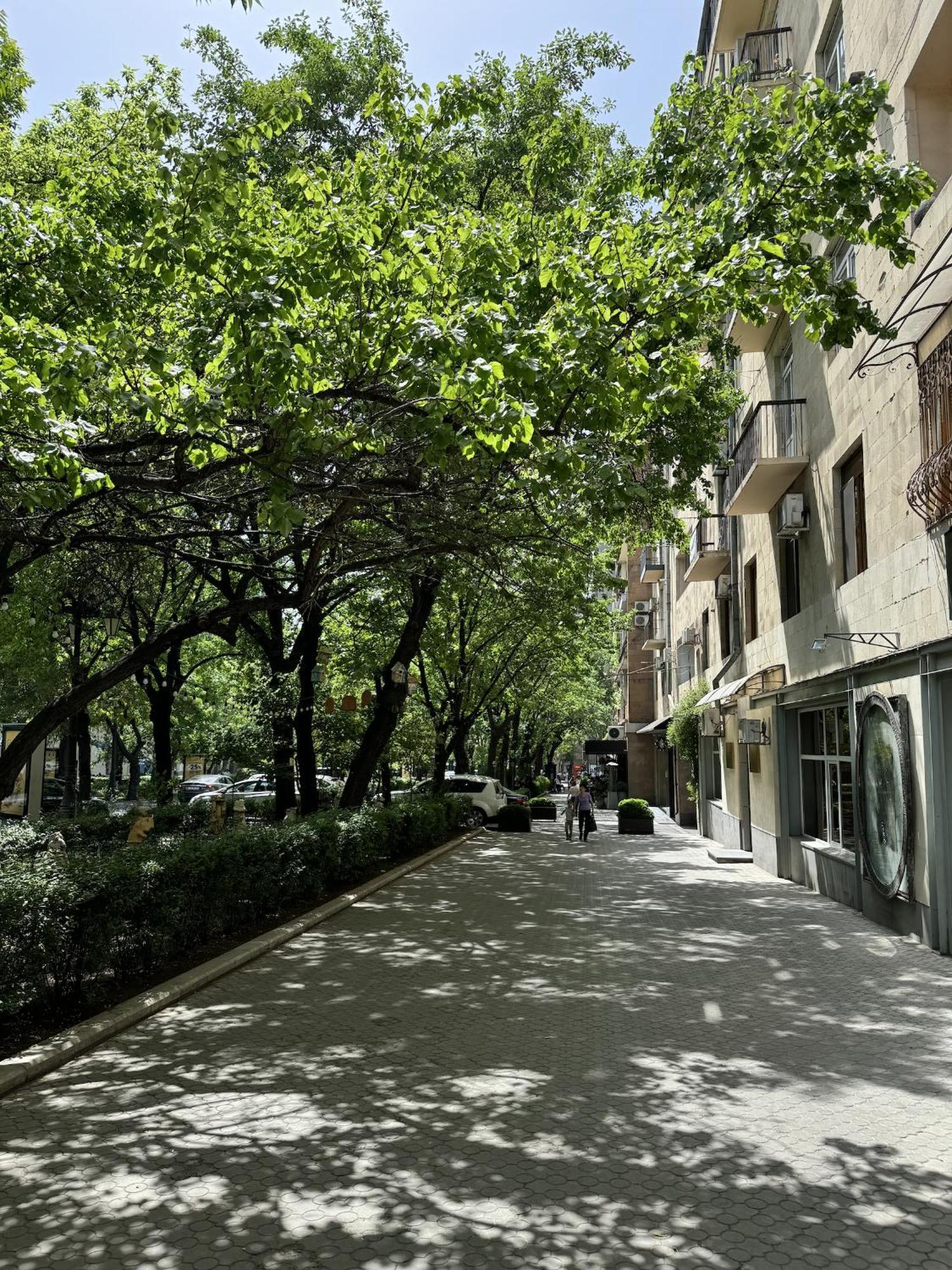 Your Spacious Home, City Center Erevan Esterno foto